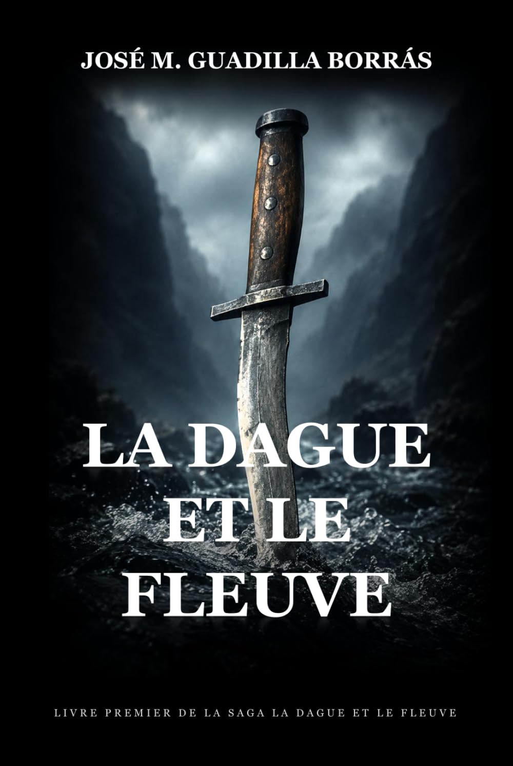 La Dague et le Fleuve: Un roman historique épique