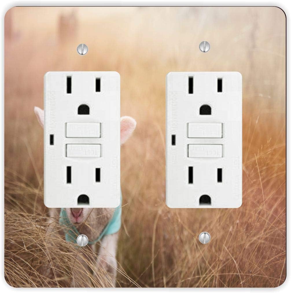 Baby Goat in Field Soft -Light Switch Plate Cover - Double GFI Double Rocker - Two Gang Switch Plate Cover Switch Plate Cover