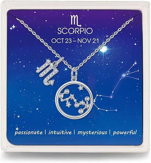 Presentski Zodiac Necklace Sterling Silver 12 Constellation Horoscope Pendant Astrology Star CZ Dainty Necklaces Birthday Jewelry for Women Daughter