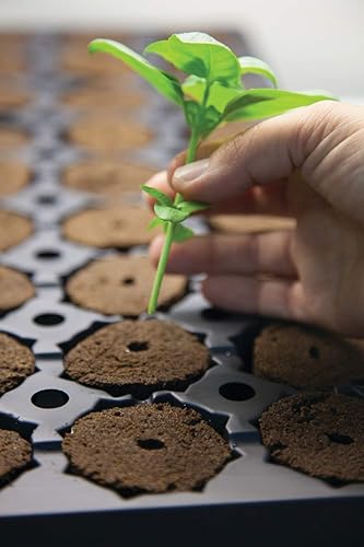 Miniatura 2 de General Hydroponics Arrancador de plantas RapidRooter, 1400 enchufes de repuesto a granel