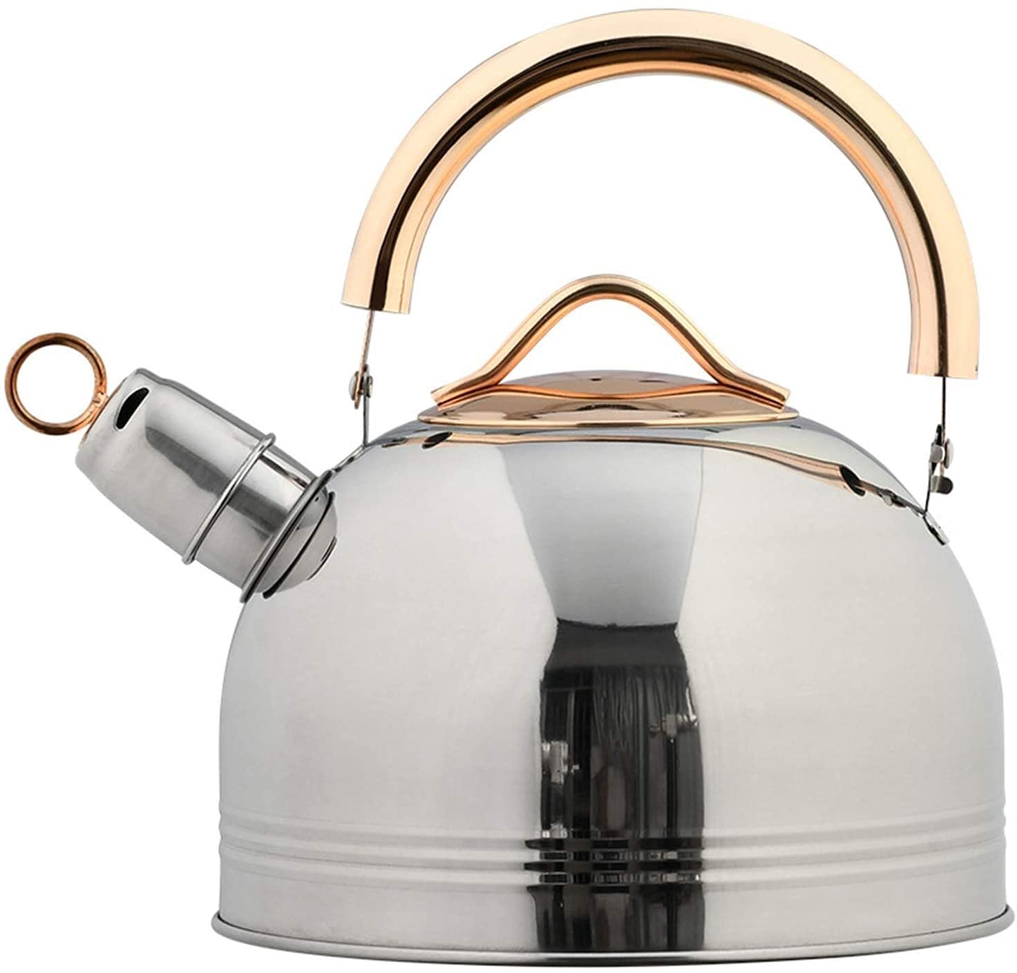 Bouilloire en acier inoxydable SHISHI pour une pause thé en famille