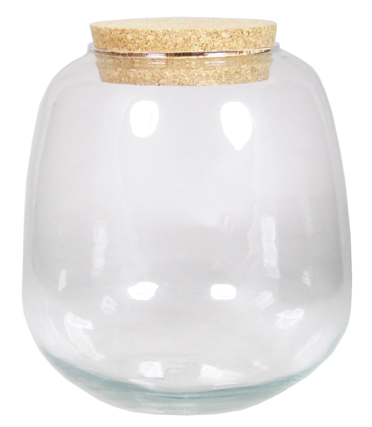 INNA-GLAS Terrarium pour Plantes en Verre YASIL avec Couvercle en liège, Transparent, 25cm, Ø21cm - Terrarium décoratif/Bocal de Stockage