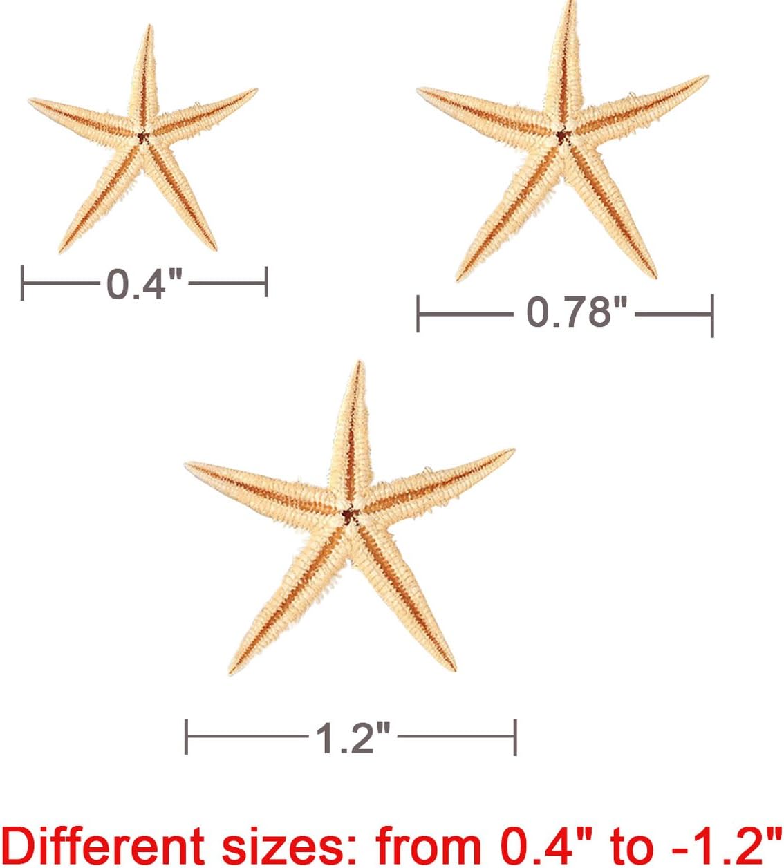 TinaWood 90PCS 0.4"-1.2" Small Starfish Star Sea Shell Beach Crafts Decor (Yellow)