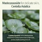[PKY] Pyunkang Yul Calmer l'humidité profonde toner instantanément apaise la peau sensible, le pore et les soins de sébum avec AHA, PHA, Non comédogène, végétalien, coréen soin de la peau (5.07 C'est vrai. 150ml)