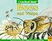 I Can Read About Bees and Wasps