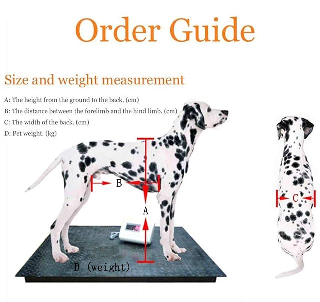 Foto 3 de 8 de Cora Pet Silla De Ruedas Ajustable para Perros - para Perros Medianos/Grandes De 0 A 11 Libras