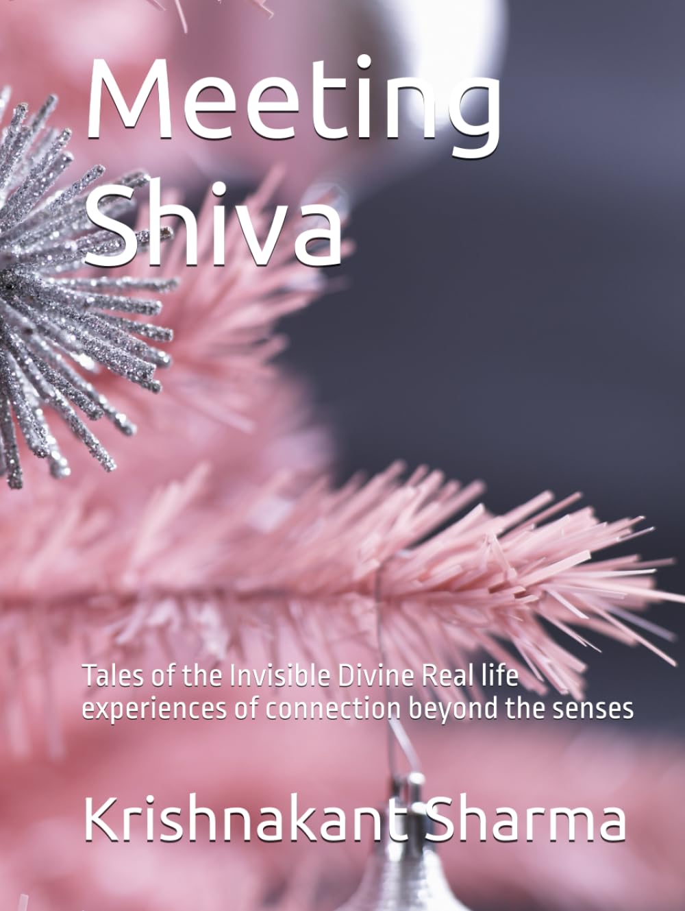 Meeting Shiva: Tales of the Invisible Divine Real life experiences of connection beyond the senses