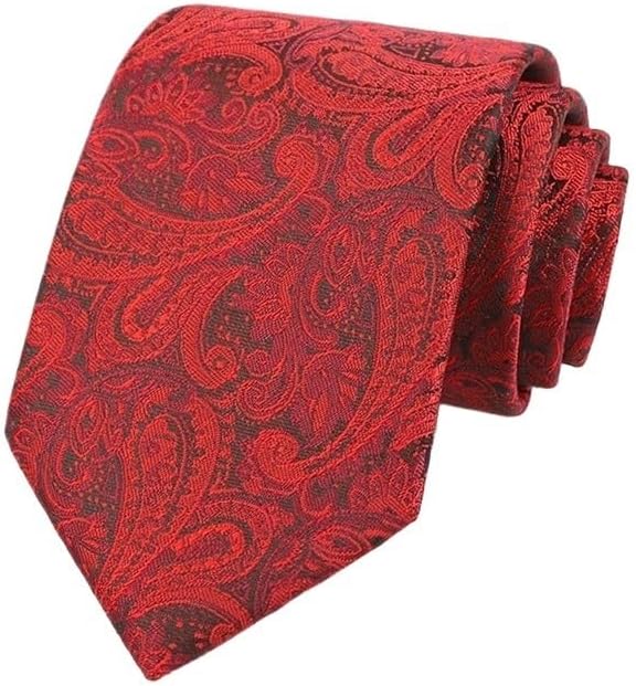 Embroidered Men's Business Casual Wedding Printed Tie Formal Everyday Necktie