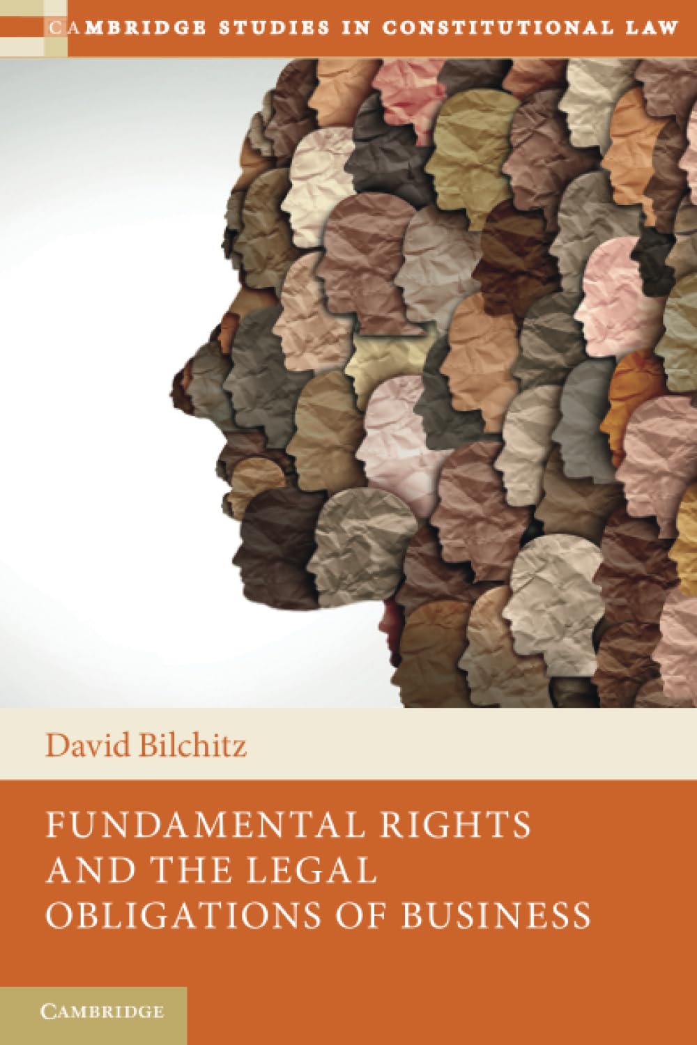 Fundamental Rights and the Legal Obligations of Business (Cambridge Studies in Constitutional Law)