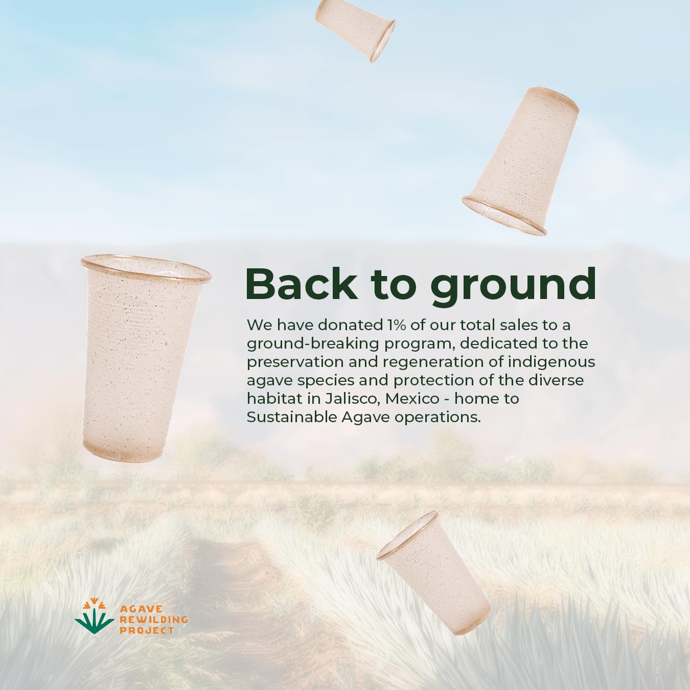 Sustainable Agave Co - Vasos de fibra de agave - Sin plástico, biodegradables, compostables, a base de plantas, transparentes, 12 onzas, 500 unidades