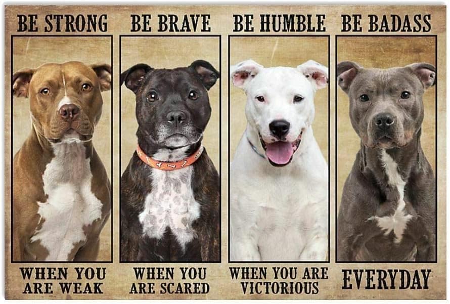 Pitbull Be Strong When You are Weak - Dog Lovers 1000 Piece Jigsaw Puzzle challenging and Stimulating Puzzle Game, Wall Art Unique Gift.