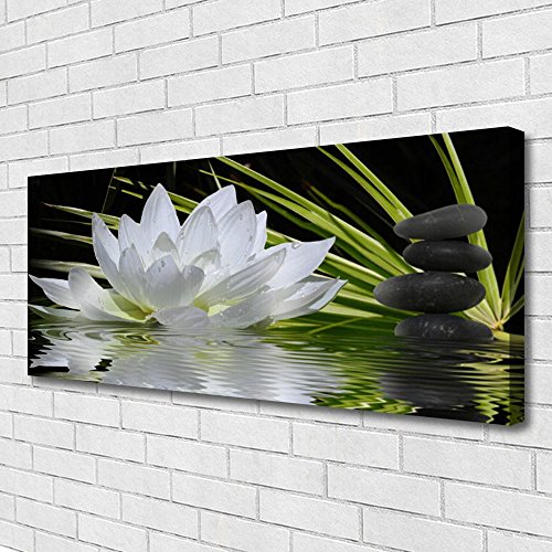 Impression sur Toile 125x50cm Tulup Fleur Pierres Eau - 3