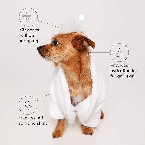 Miniatura 2 de Ouai Fur Bébé Champú para mascotas, aroma Mercer Street - Champú para perros y lavado para el pelaje que hidrata, limpia y añade brillo - Artículos