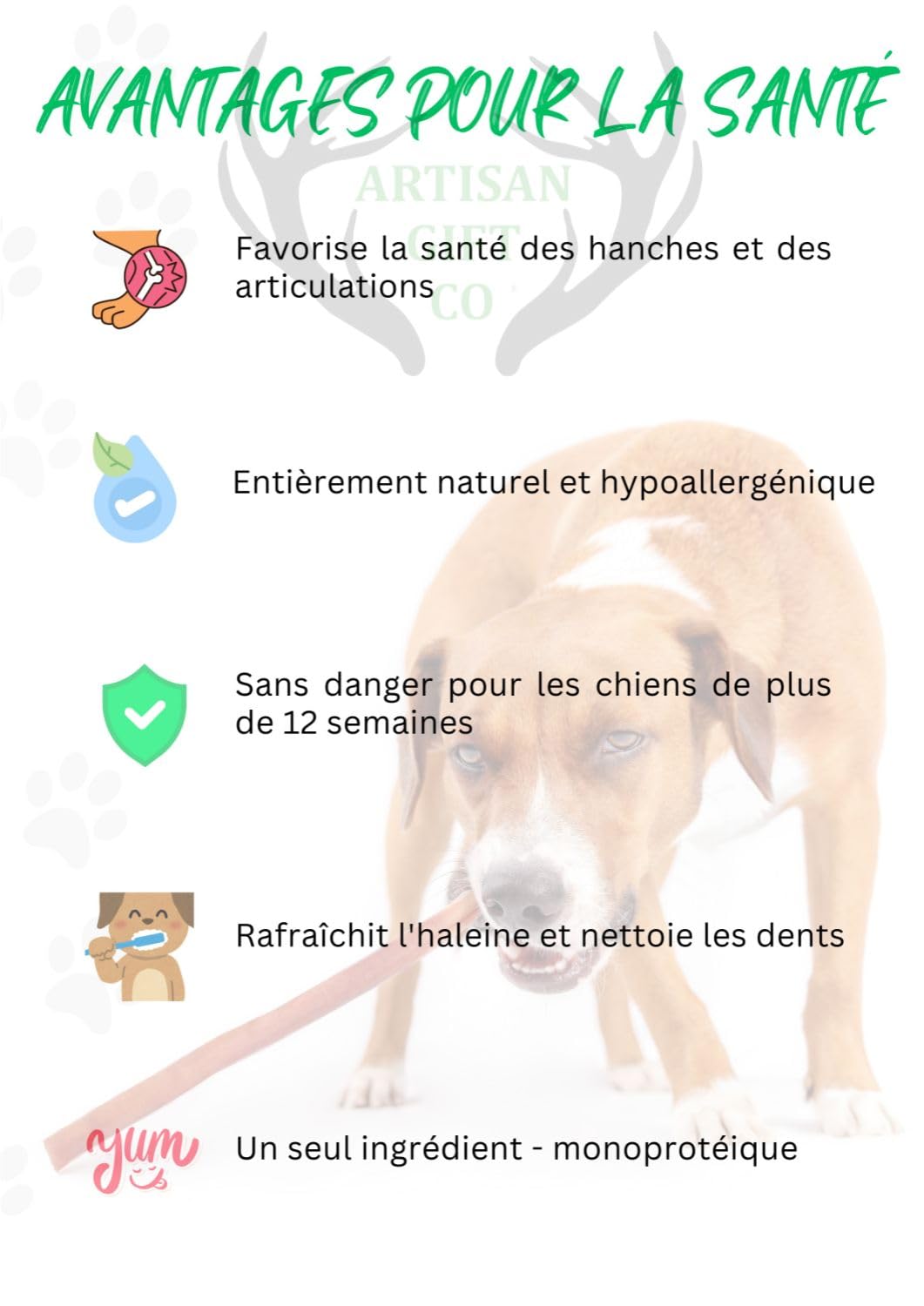 Nerfs de Bœuf pour Chiens 30 cm 5 u. Friandises Naturelles Déshydratées