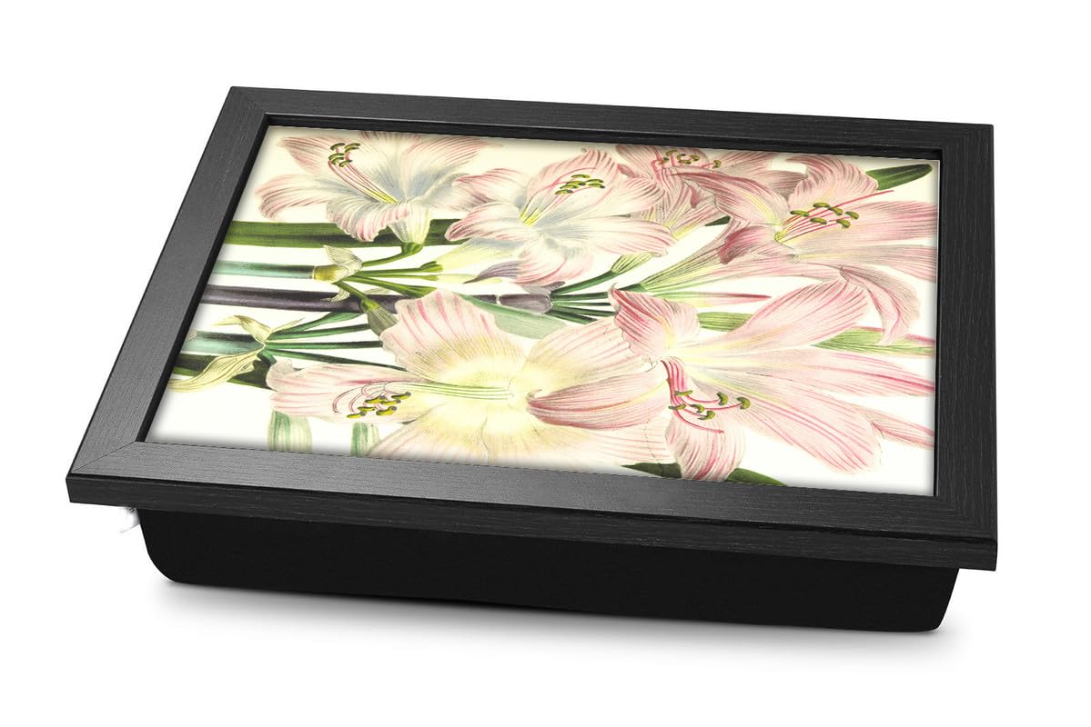 Decor Production Printed Laptray| Lapboard| Laptop Table Desk with Cushion Bottom for Writing, Eating, Studying etc.Size-[12x18] inch_45 (B0CCKXX2SL) Amazon Price History, Amazon Price Tracker
