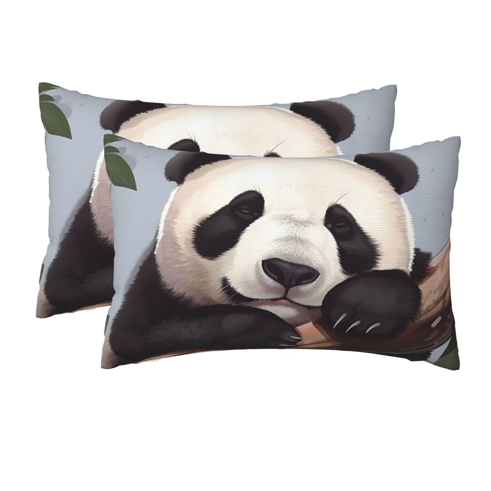 2 Pack Queen Size Pillow Cases for Hair and Skin Soft Breathable Pillow Case Covers with Hidden Zipper Cute Sleeping Panda Pillowcase 20x30 Inches Pillow Cover for Sleeping Gift