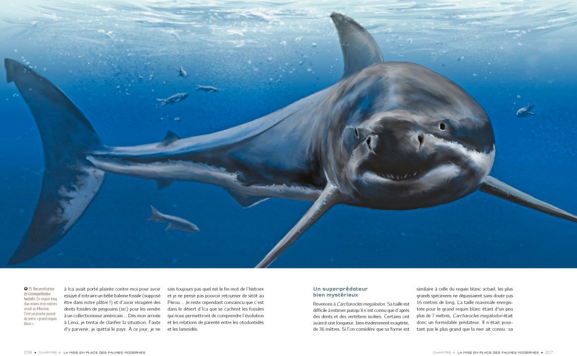 REQUINS: De la préhistoire à nos jours