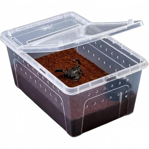 OM SAI Aquatic World Perfect Plastic Reptile Feeding Box Clear Ventilated Pet Container for Small Crawlers Insects Lizards Spiders Portable Habitat Transport Cage 18 * 12 * 8