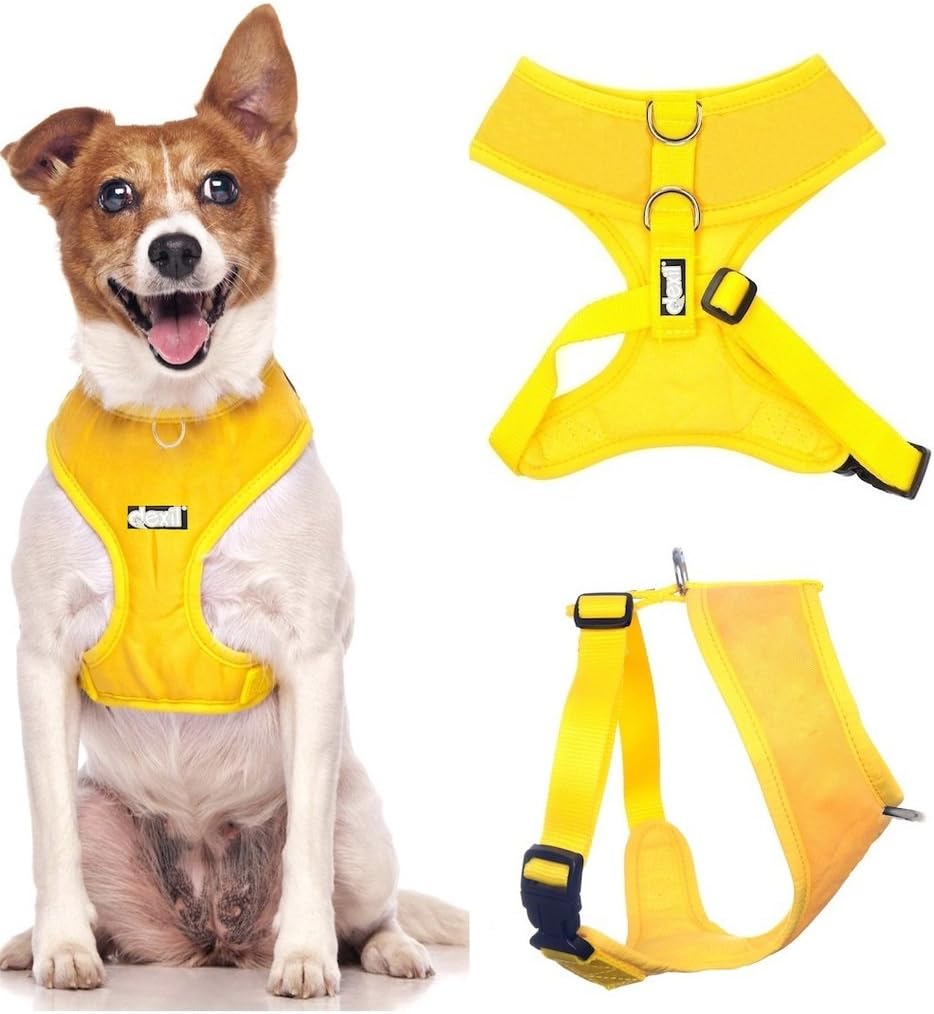 Dexil Elite Range Padded Waterproof Adjustable Back and Front Ring Non