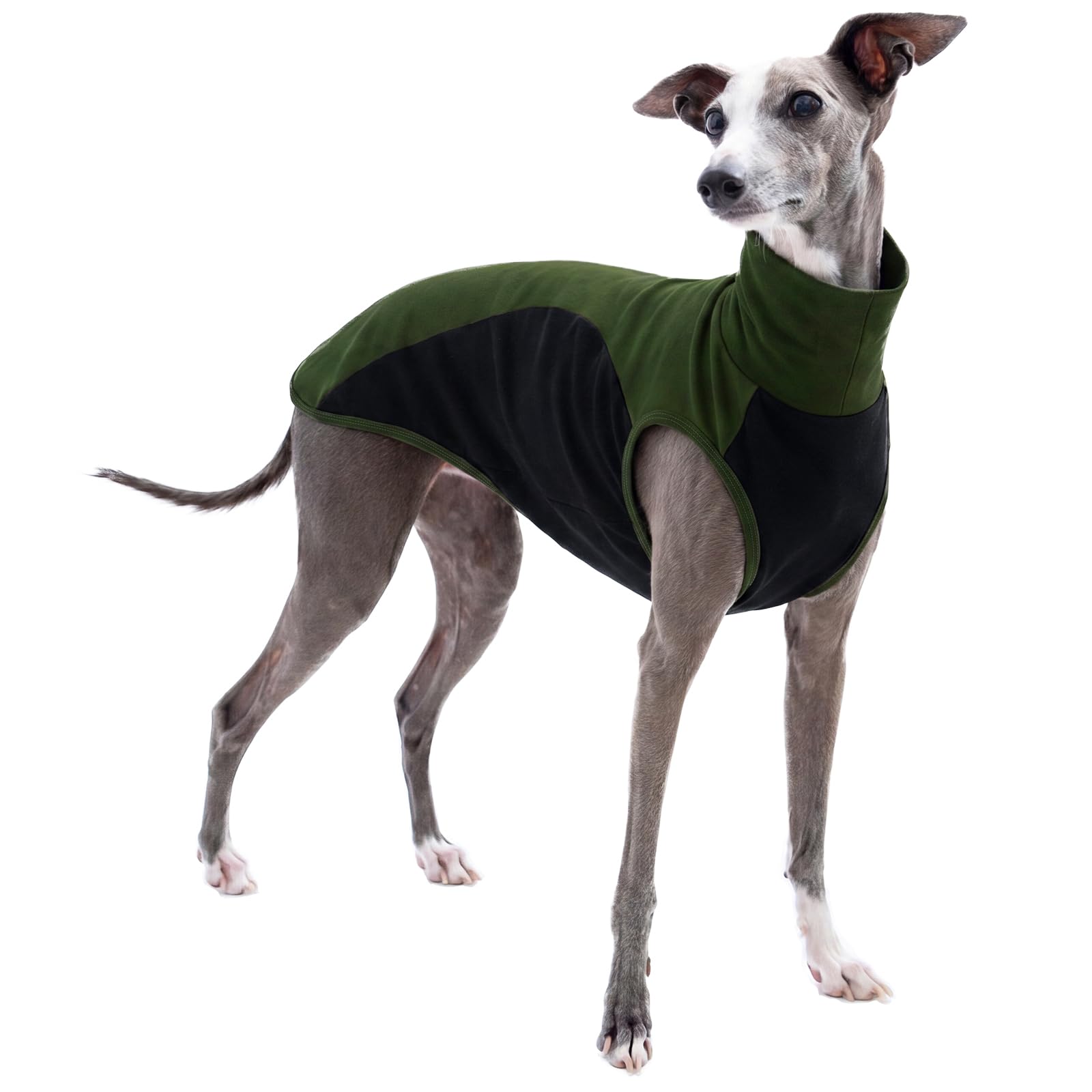 Whippet Vest, Medical Pet Shirt Cover the Stitches Soft Greyhound Clothing Sleeveless Dog Shirt Sun Protection Keeps the Sun Off(Army green, S) โ image 1