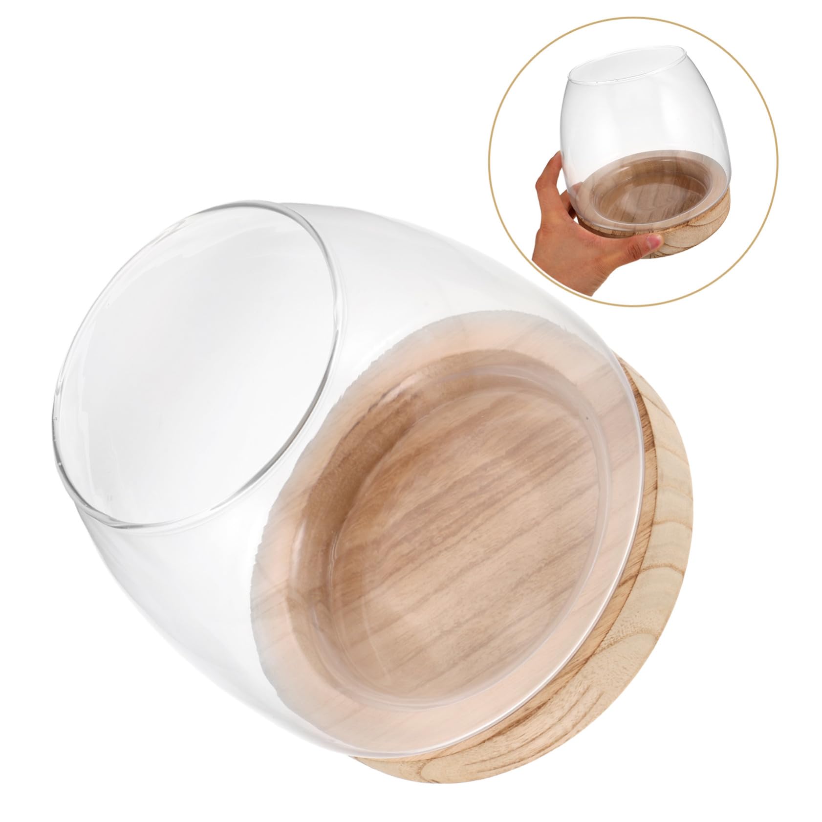 Garneck Vase Hydroponique Verre avec Base Plante Intérieur Propagation Eau pour Bureau Décoration Aquarium et Terrarium Compact