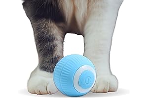 Wloom Cat Ball 2.0: Interactive Fun for Your Feline Friends