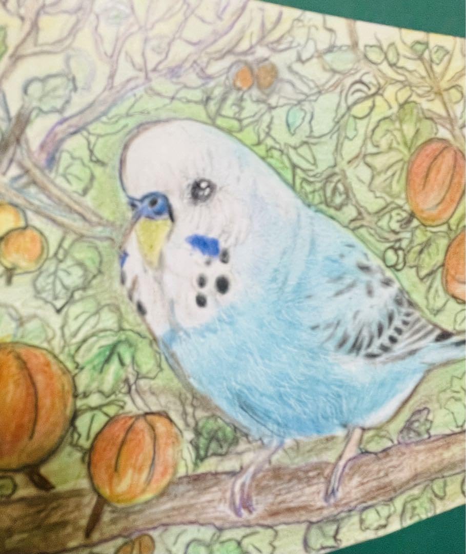 Amazon.co.jp: 色鉛筆画 リアル可愛いセキセイインコ色鉛筆画 原画 鳥