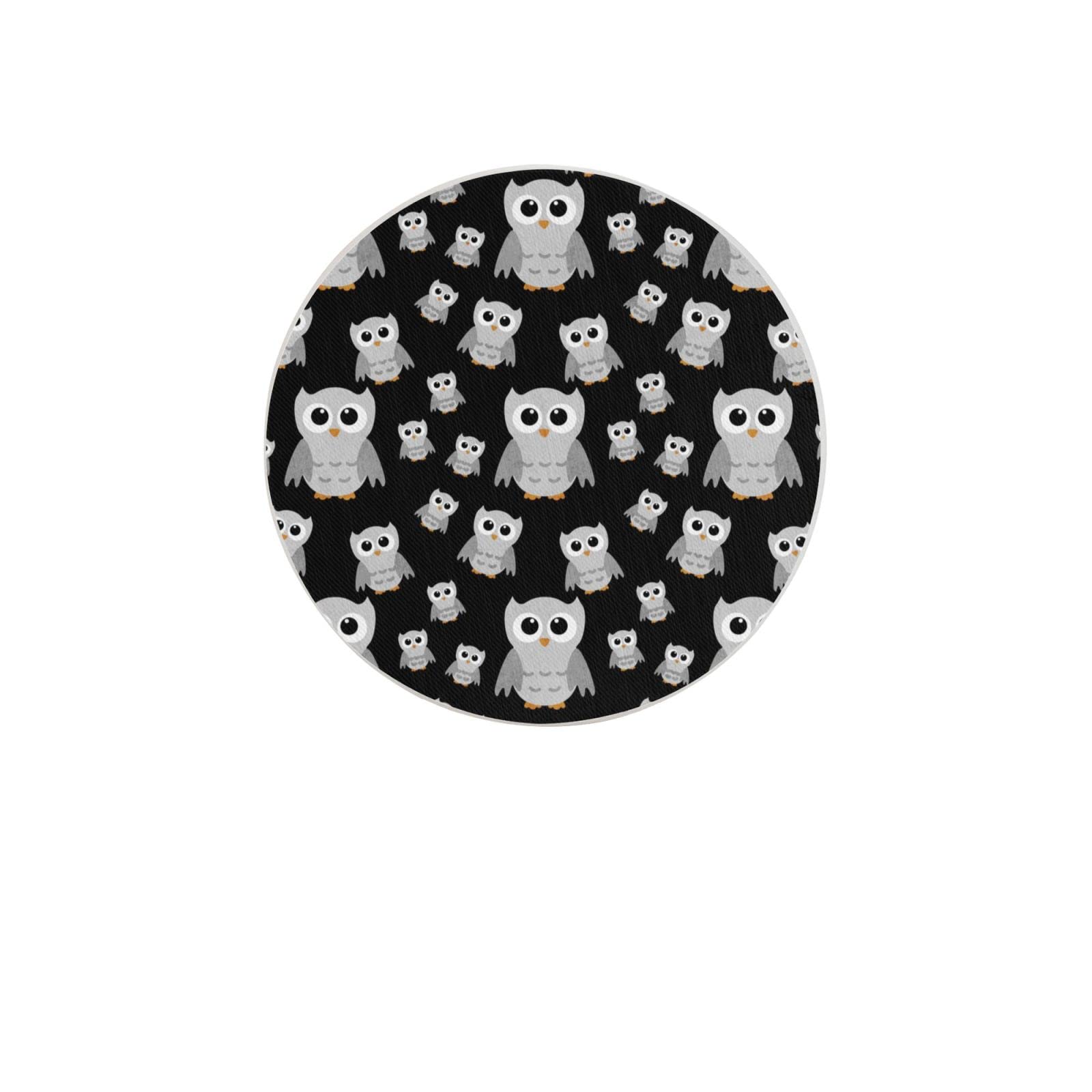 Cute Owl Two Pieces Drink Coaster for Tabletop Protection Place Mats for Home Decor