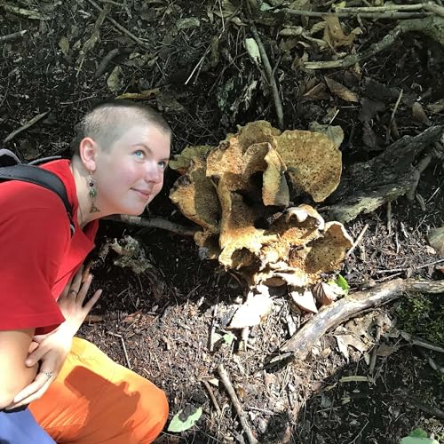 Desiree - Can we still feel joy while whole ecosystems collapse?