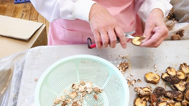 Amazon.co.jp: 杉本商店【業務用】九州産椎茸の軸(足)石突きカット済み
