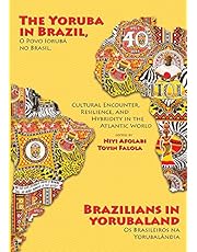 The Yoruba in Brazil, Brazilians in Yorubaland: Cultural Encounter, Resilience, and Hybridity in the Atlantic World: Cultural Encounter, Resilience, and ... No Brasil, OS Brasileiros Na Yorubalaandia)