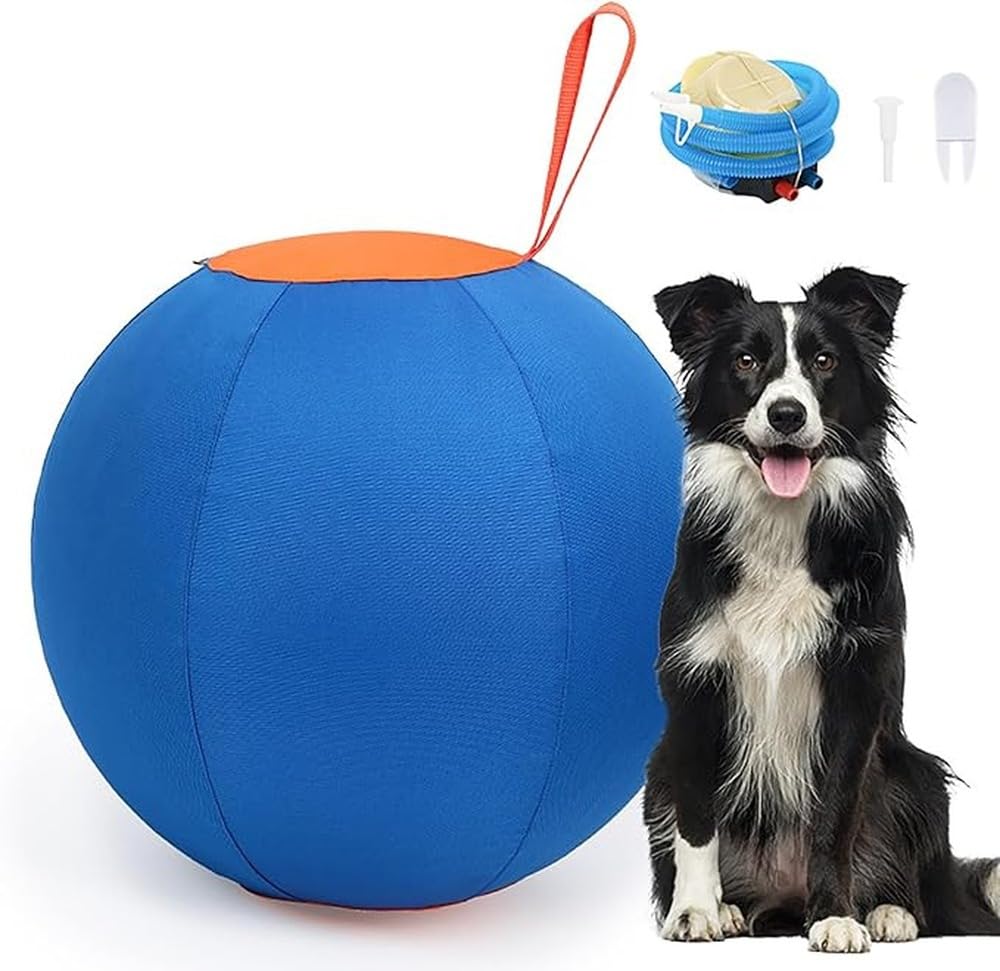 Giocattolo per cani, palla gonfiabile da masticare, resistente ai
