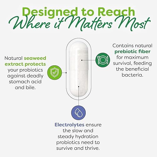 Miniatura 7 de Probulin Probiótico para mujer  Vaginal, UT, intestinal e inmune con Lactobacillus Reuteri  20 mil millones de UFC, 12 cepas probióticas y