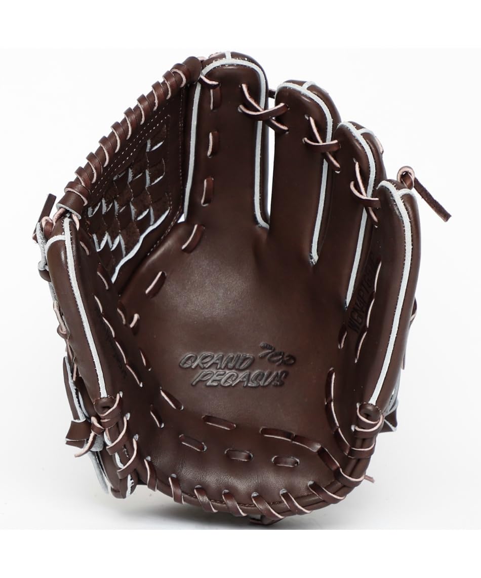 Amazon | 〔ワールドペガサス〕硬式グラブ 硬・軟式GペガサスTOP