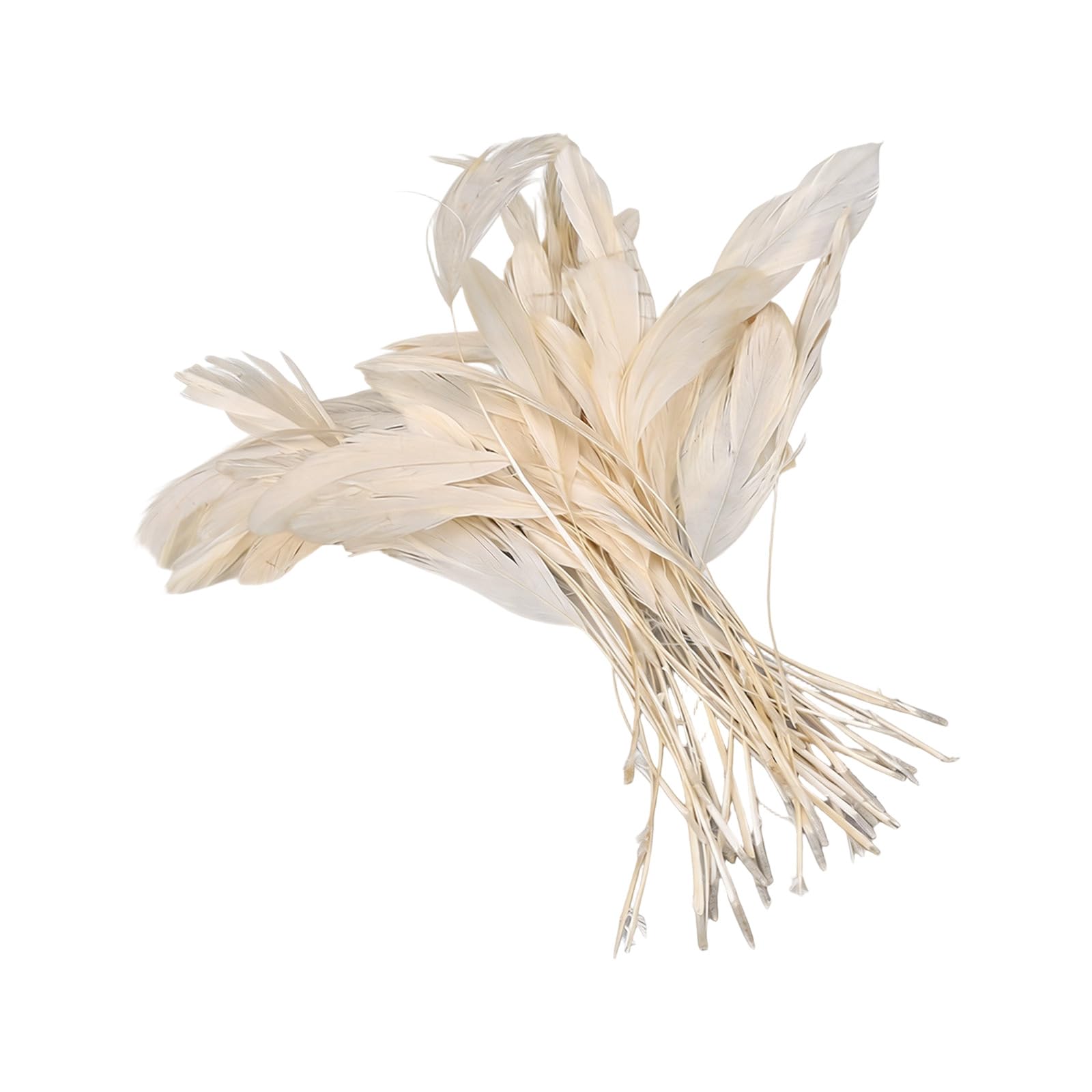 Limtula 50Pcs Vibranting Dyed Plumage 12 18CM for Costume Design Wedding Decorations and Art Projects Quills for Crafting