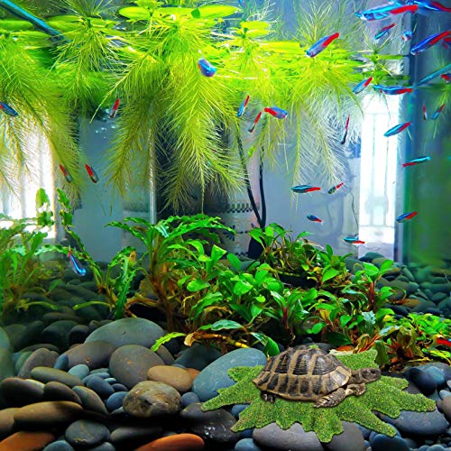 POPETPOP Tanque de Peixes de Relva Artificial Tapete de Grama Do Gramado Musgo Falso Grama Relvado D