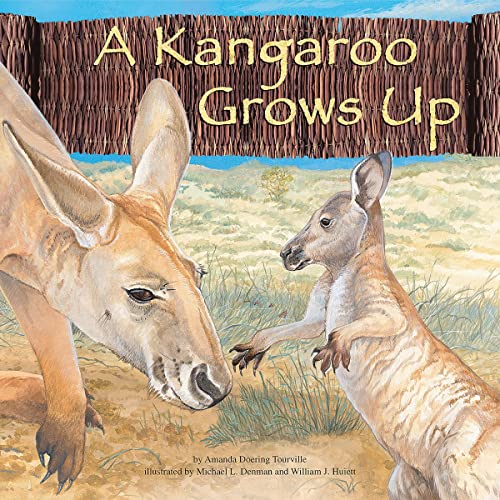 A Kangaroo Grows Up by Amanda Doering Tourville episode artwork