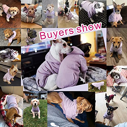 Jecikelon Winter Dog Hoodie Sweatshirts With Pockets Warm Dog Clothes For Small Dogs Chihuahua Coat Clothing Puppy Cat Custume (Small, Purple) #TOP1