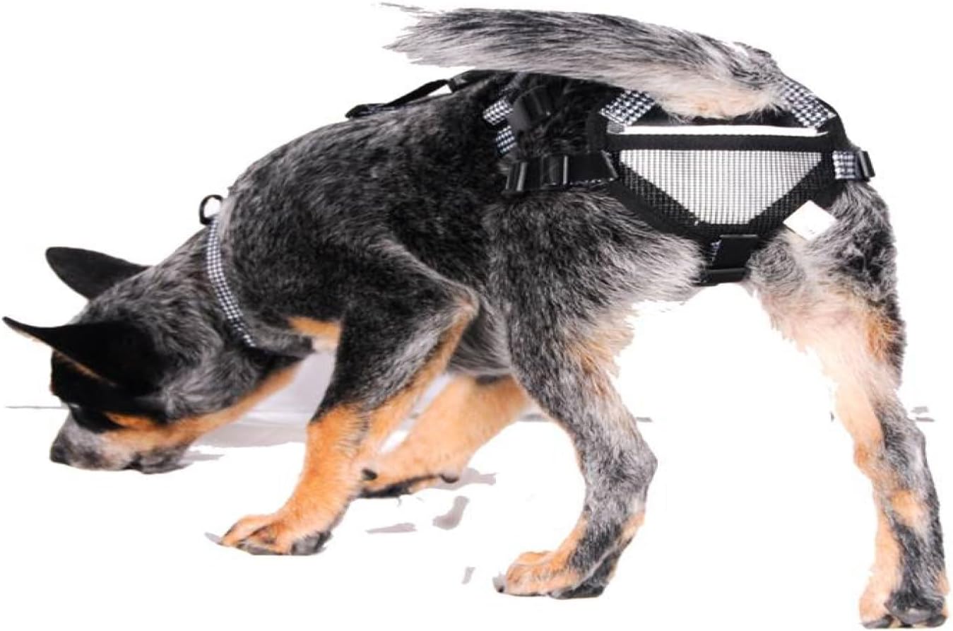 PABS, Pet Anti-Breeding System Chastity Belt for Dogs, Dog Diaper Alternative, Dog Chastity Belt Female (Please See Video) (Size XX-Large – 91-120lbs)