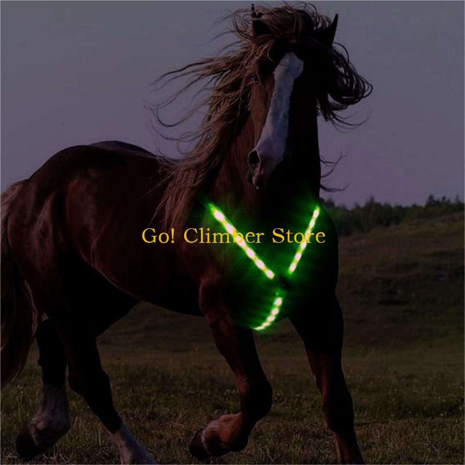 Verstellbares Brustgeschirr für Pferde mit LED - Nachtsichtbares Textilhalsband zum Reiten (Grün)
