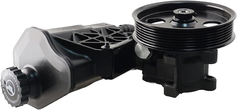 Power Steering Pump 5073241AB with Pulley and Reservoir Compatible with Chrysler Aspen 2007 Dodge Durango 2004-2007 Ram 1500 2002-2007 V6 V8 Replaces 20-70269 96-70269 7154N 6167PR 5073241AA