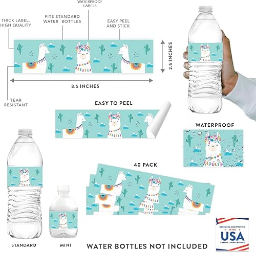 Vista 109 de Andaz Press Fiesta de llama y cactus, recuerdos de fiesta de bálsamo labial, bálsamo de llama, paquete de 12, decoración temática bohemia de llama