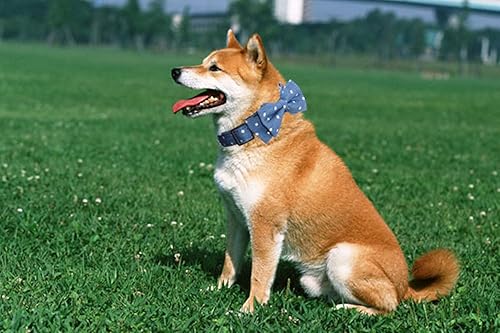 Miniatura 10 de THAIN Collar de perro personalizado con lazo para perros machos y hembras, con estampado de ninja a cuadros, collares grabados para mascotas con