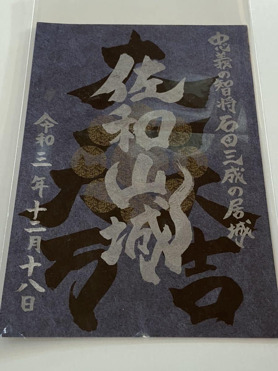 現品】コルクの木 コルクガシ 樫の木 Quercus subur 8号 Ⅰ コルクガシ