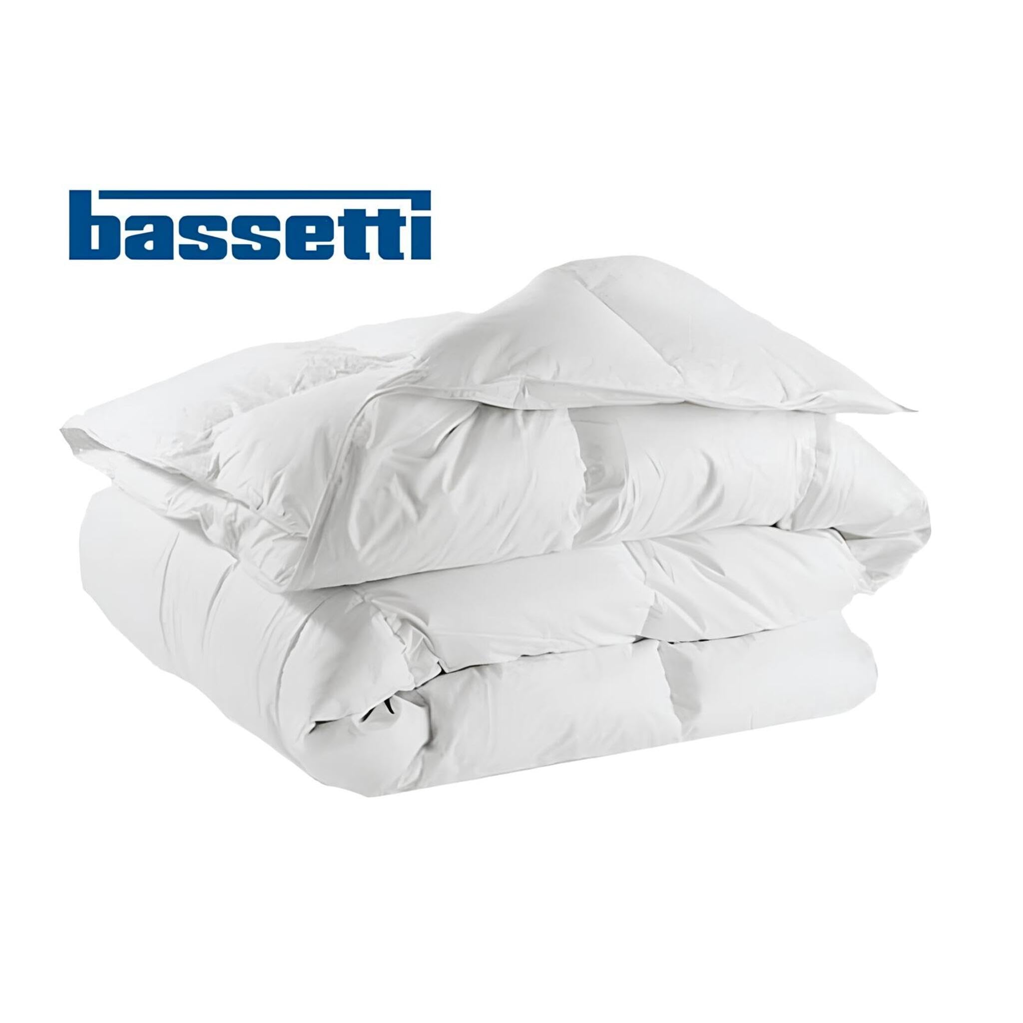 Bassetti Piumino Invernale in Microfibra anallergica da 320 grammi 3 Stelle (Matrimoniale 250x200cm)