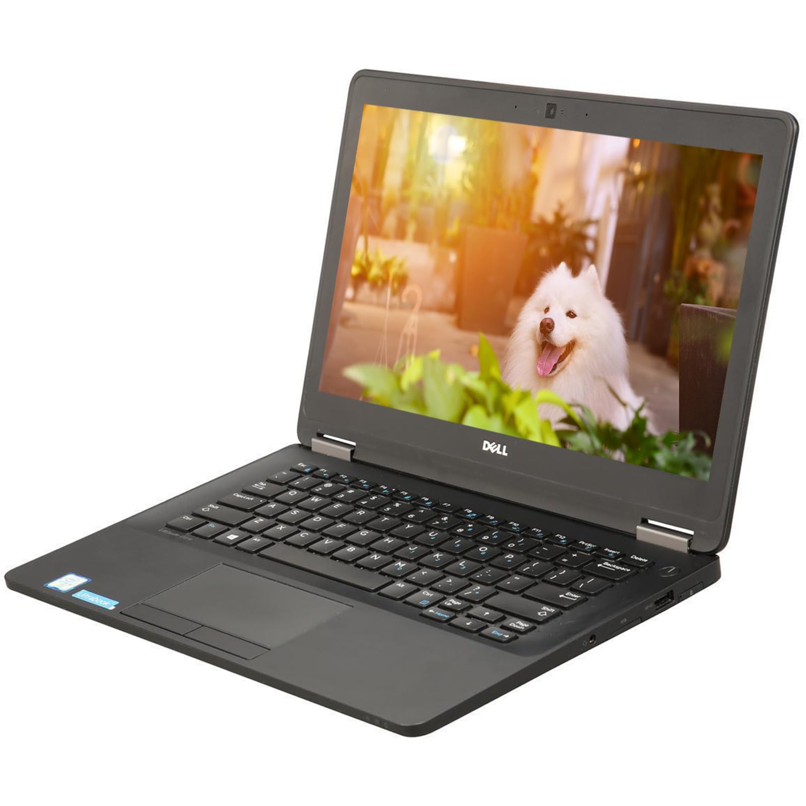 Amazon.com: Dell Latitude E7270 Laptop, 12.5in Laptop 7270