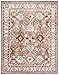 SAFAVIEH Area Rug 9x12 - Vintage Hamadan Collection - Large - Taupe, Traditional Persian Design, Non-Shedding & Easy to Clean, Ideal for Living Room, Bedroom, Dining Space (VTH214T)