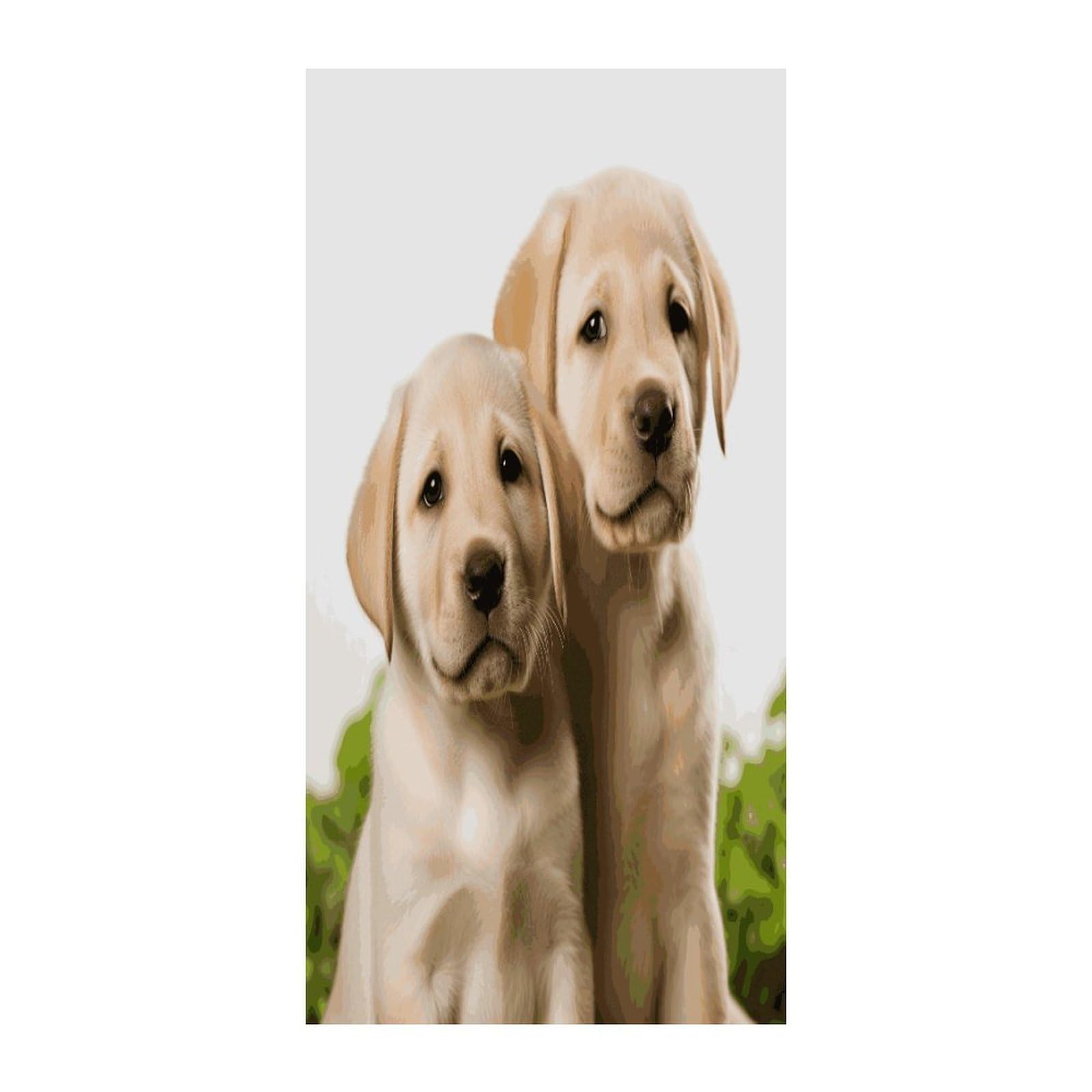 Fekiloot Style Funny Labrador Puppy Dog Door Curtain Room Divider Curtains