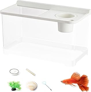 Betta Aquarium, 3 farbige, für den Haushalt, Hydrokultur-Aquarium für Tisch, Arbeitsplatz, Wohnzimmer, Zuhause, Schlafzimmer, Foyer, Landschaftsbau