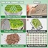 Stainless Steel Seed Sprouting Kit - 3-tier Microgreens Growing Tray 6in Dia, Stackable Round Seed Sprouter Maker with Encrypted Mesh, Sprouts Grower for Beans Broccoli Alfalfa Seeds Wheat Grass #1